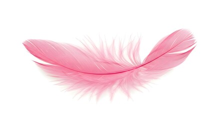 A single pink feather with a curved shape lying against a white background