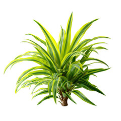 Vibrant yellow-green plant with spiky leaves