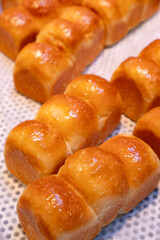 디저트,제과제빵