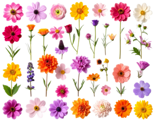 Arreglo Floral Minimalista – Estudio con Toques Modernos