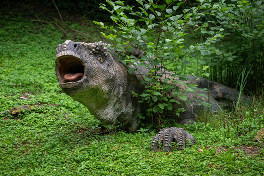 Chasmosaurus &ndash; dinosaur figurine in a forest.

