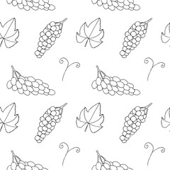 Grape seamless pattern, hand drawn, vector illustration