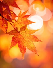 Fototapeta premium Vibrant red and orange maple leaves against a warm bokeh backdrop, showcasing autumn colors and a seasonal glow