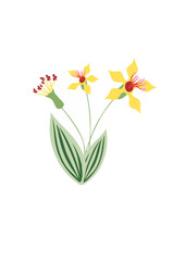 Tropical Orchid Flowers.ai