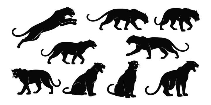 Set of black panther silhouettes isolated on white background vector illustration of a panther in different poses, walking, jumping, sitting, and roaring