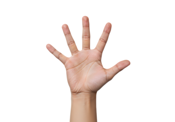 Open Palm Hand Gesture: High-Resolution Image for Design Projects