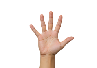 Open Palm Hand Gesture:  High-Resolution Photo for Design & Presentation