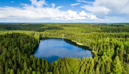 Panoramic aerial view of a serene heart-shaped lake nestled within a lush, evergreen forest under a vibrant blue sky dotted with fluffy white clouds
