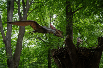 Adult flying Pteranodon and baby in nest with forest background.  © lapis2380