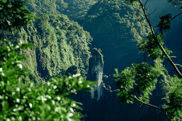 green moss on the rock