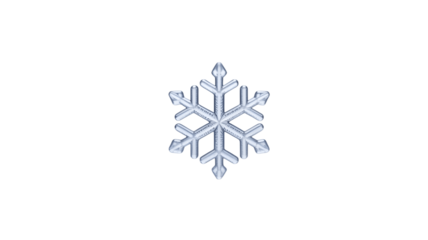 A close-up of a unique snowflake.