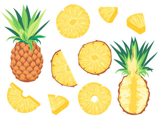 Pineapple Fruit Set. Whole, Half and Round Slices. Juicy Tropical Fruit. Vector Illustrations