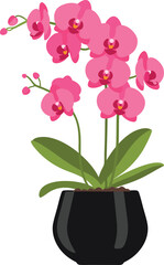 Blooming Pink Orchid in Elegant Black Pot with Lush Green Leaves, Modern Botanical Flower Accent for Indoor Home Decor, Stylish Nature Art, and Contemporary Living Spaces
