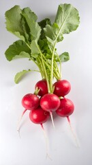Fresh radishes with leaves (1)