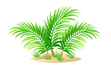 A cluster of vibrant green palm fronds with small grass shoots on sandy ground