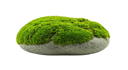 Artificial moss rock garden decoration 3.