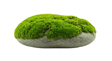 Artificial moss rock garden decoration 3.