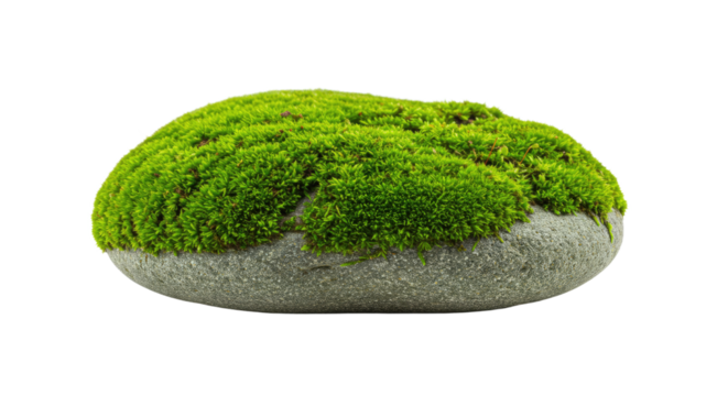 Artificial moss rock garden decoration 3.
