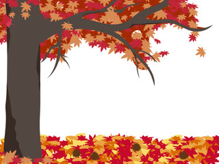 紅葉した木と下に落ちている毬栗