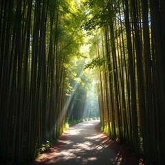 Fototapeta premium Silent bamboo forest path lit by soft rays of sunlight filtering through leaves.