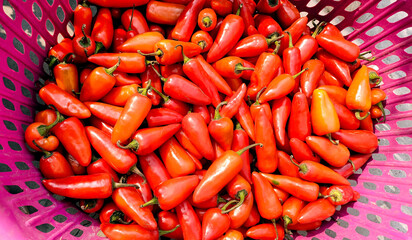 Fresh Red Chili Peppers in a Basket