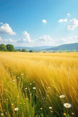 Vast expanse of golden prairie grassland swaying gently in the breeze, wildflowers dotting the landscape under a bright summer sky A tranquil scene of untouched nature , habitat, golden