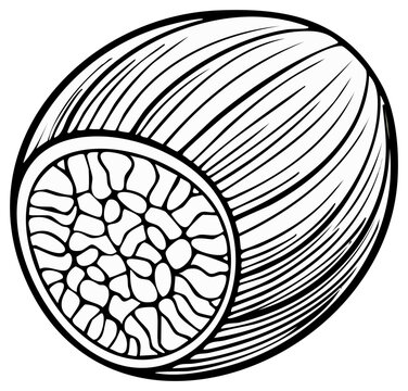 black and white passion fruit cutaway clip art preview