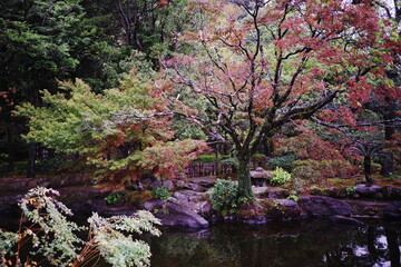 仙厳園の庭園と立派な紅葉の木
