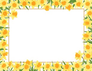 Obraz premium Daffodil floral border on white
