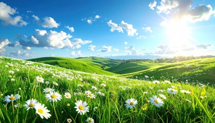 Lush green hills with daisies, under a bright blue sky and puffy clouds, with sunlight shining down on a serene pastoral landscape