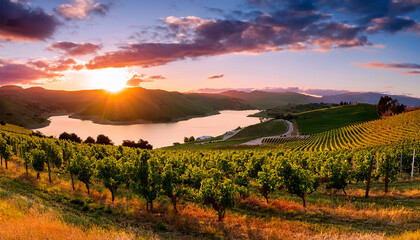 Naklejka premium Golden Sunset Over Rolling Vineyard Hills and Calm Lake Landscape wine grapes