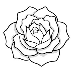  rock rose cactus line art flower vector on white