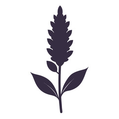 russian sage silhouette on white
