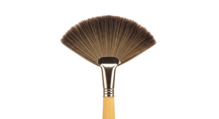 Closeup of a fan paintbrush with brown bristles.
