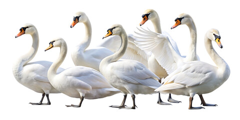 Obraz premium png, ai generated