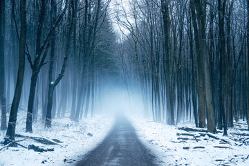 Winter in the Harz mountains