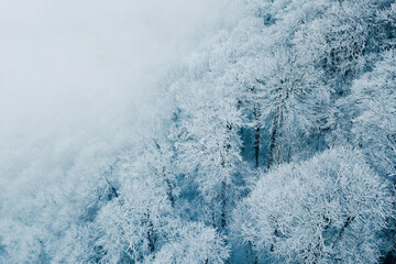 Winter in the Harz mountains
