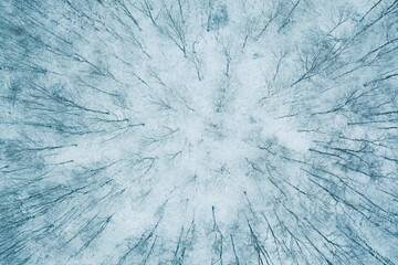 Winter in the Harz mountains