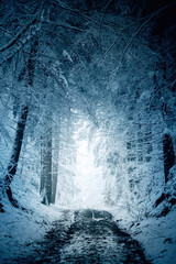 Winter in the Harz mountains