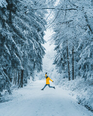 Winter in the Harz mountains