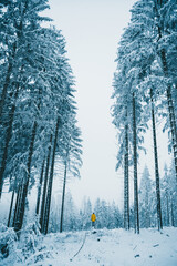 Winter in the Harz mountains