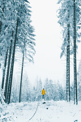 Winter in the Harz mountains
