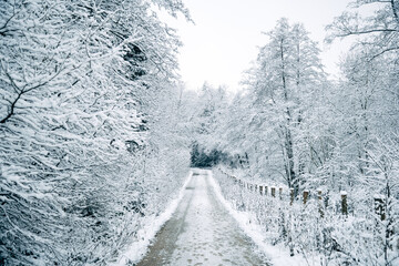 Winter in the Harz mountains