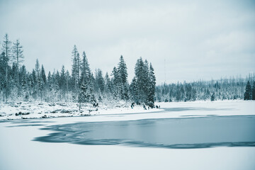Winter in the Harz mountains