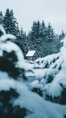 Winter in the Harz mountains