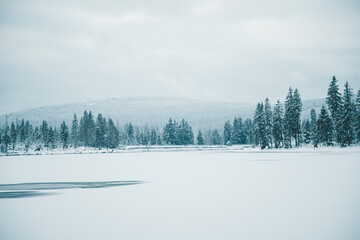 Winter in the Harz mountains