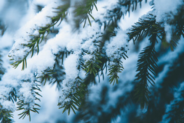 Winter in the Harz mountains