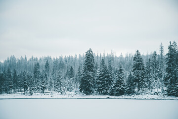 Winter in the Harz mountains