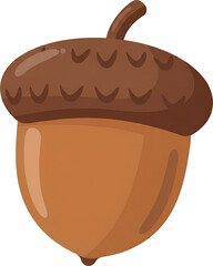 도토리 : Acorn