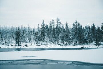 Winter in the Harz mountains
